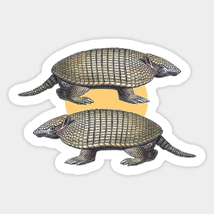 Armadillos Sticker